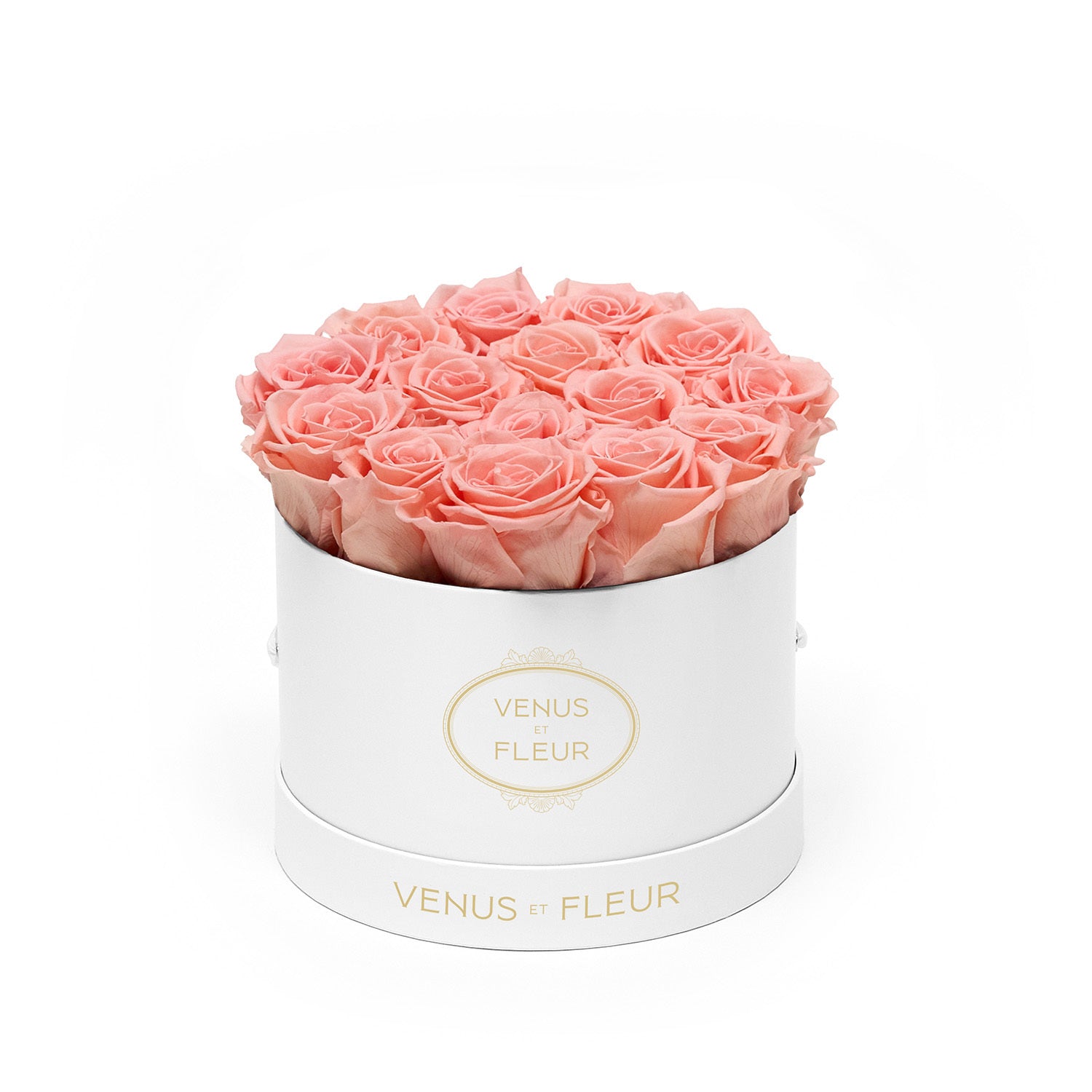 Small Round White Box with Eternity Roses | Venus et Fleur