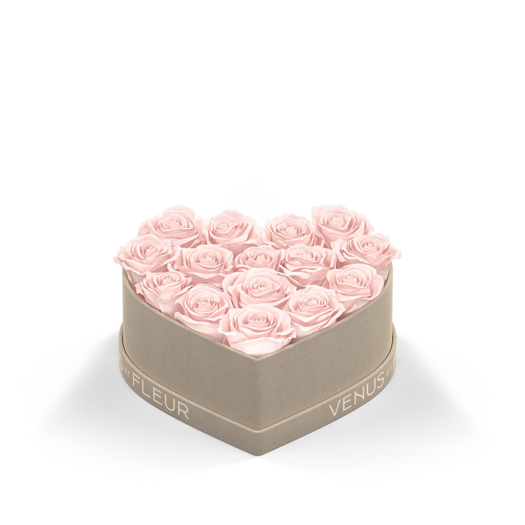 Small Heart Cream Box with Eternity Roses | Venus et Fleur