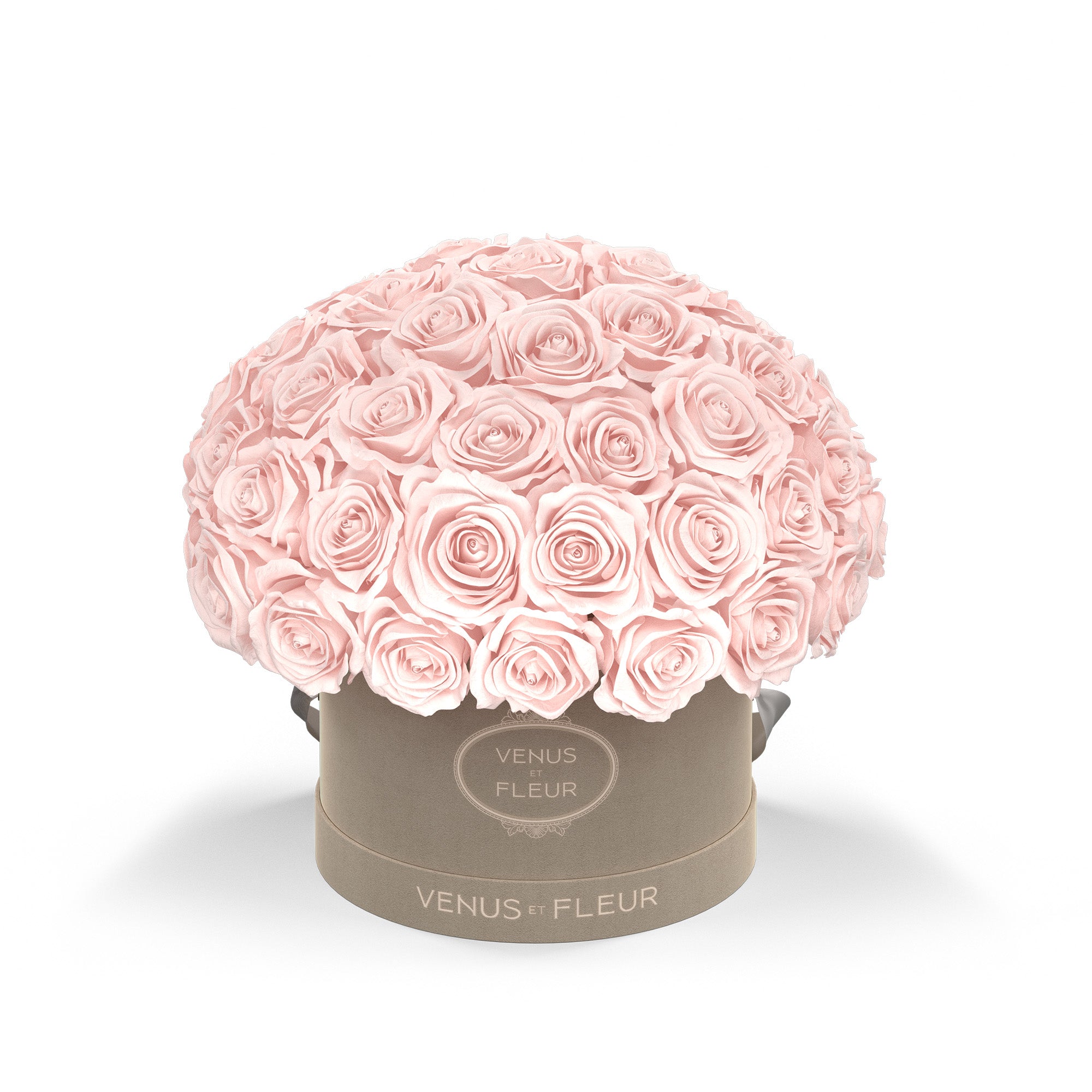 Small Le Plein Cream Box with Eternity Roses | Venus et Fleur
