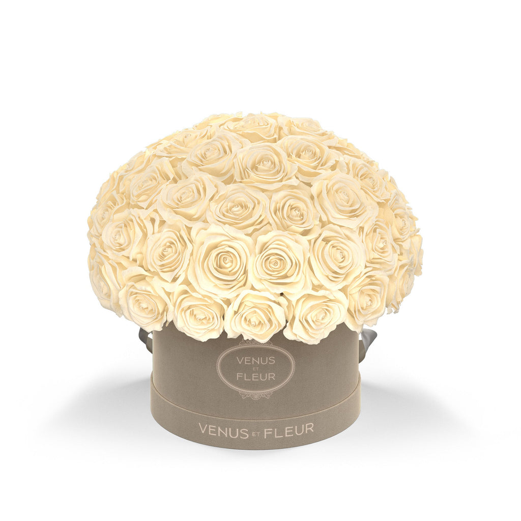 Small Le Plein, Cream Suede, Pearl, 45-49 Eternity Roses, Venus et Fleur
