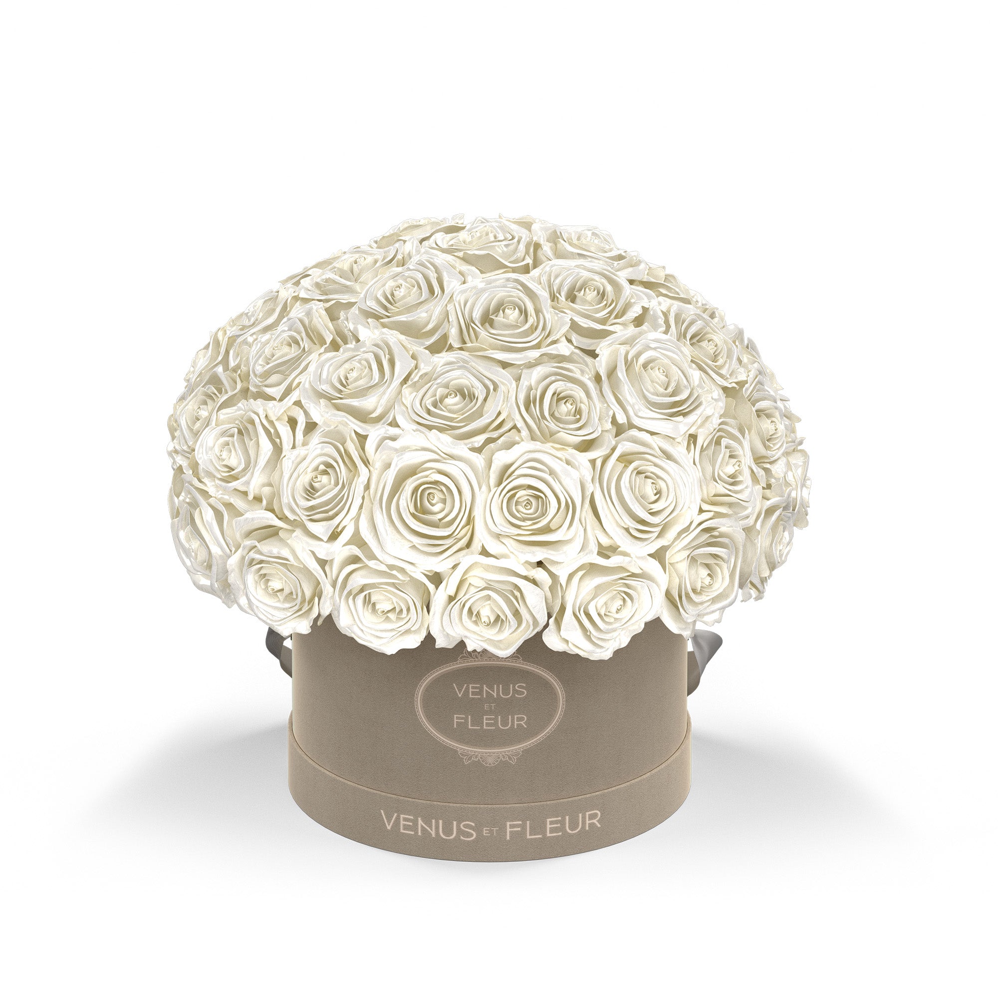 smallleplein-creamsuede-roses-