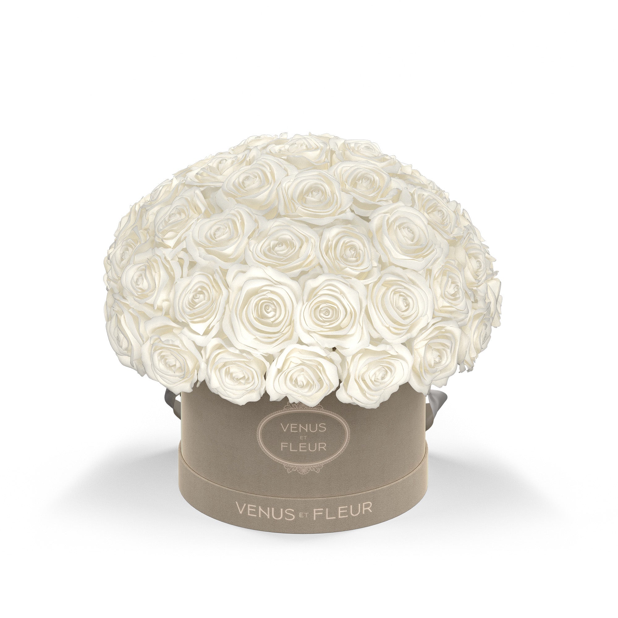 Small Le Plein Cream Box with Eternity Roses | Venus et Fleur
