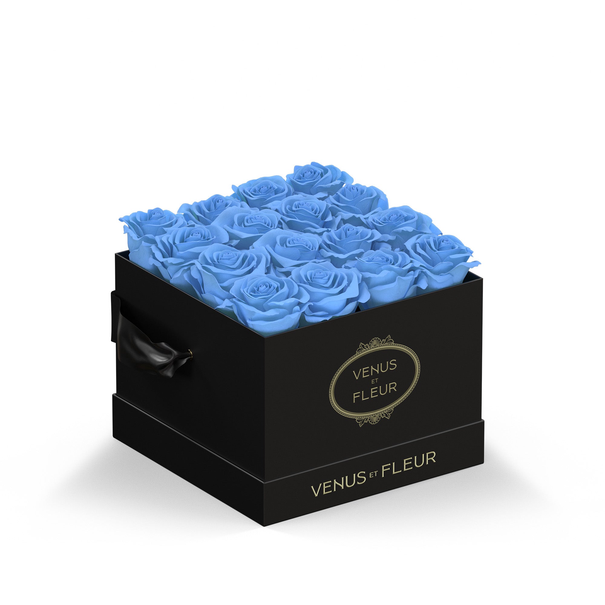 Small Square Black Box with Eternity Roses | Venus et Fleur