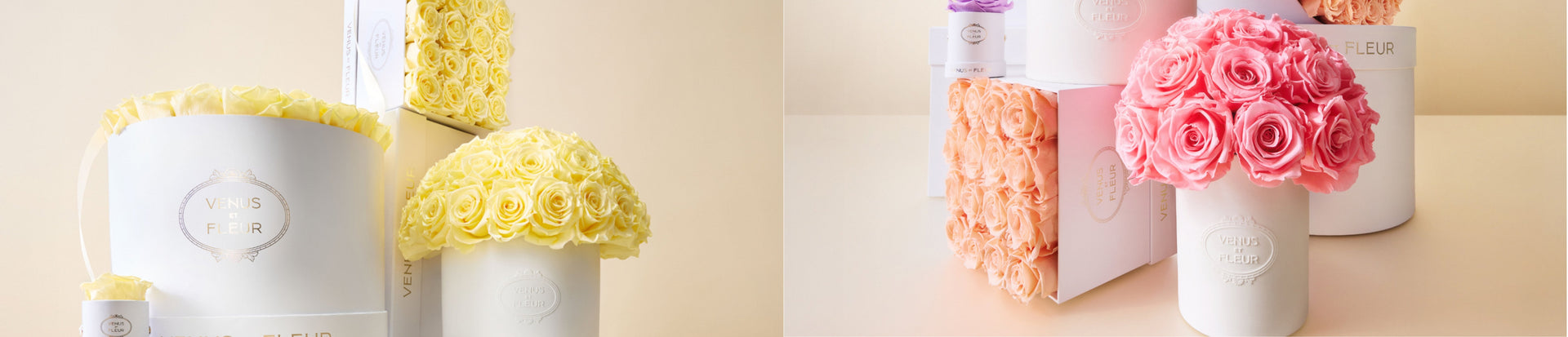 Spring Hues — collection header (desktop)