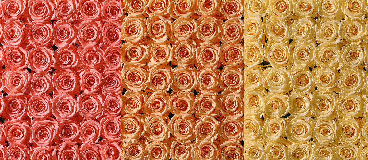 Spring Hues — footer