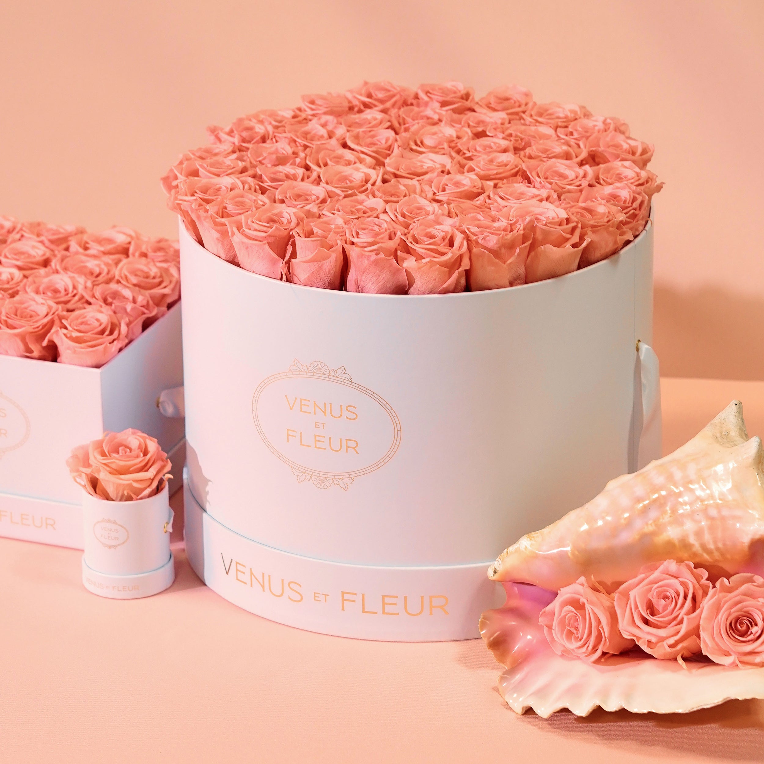 Eternity® Roses: Preserved Roses That Last a Year | Venus et Fleur