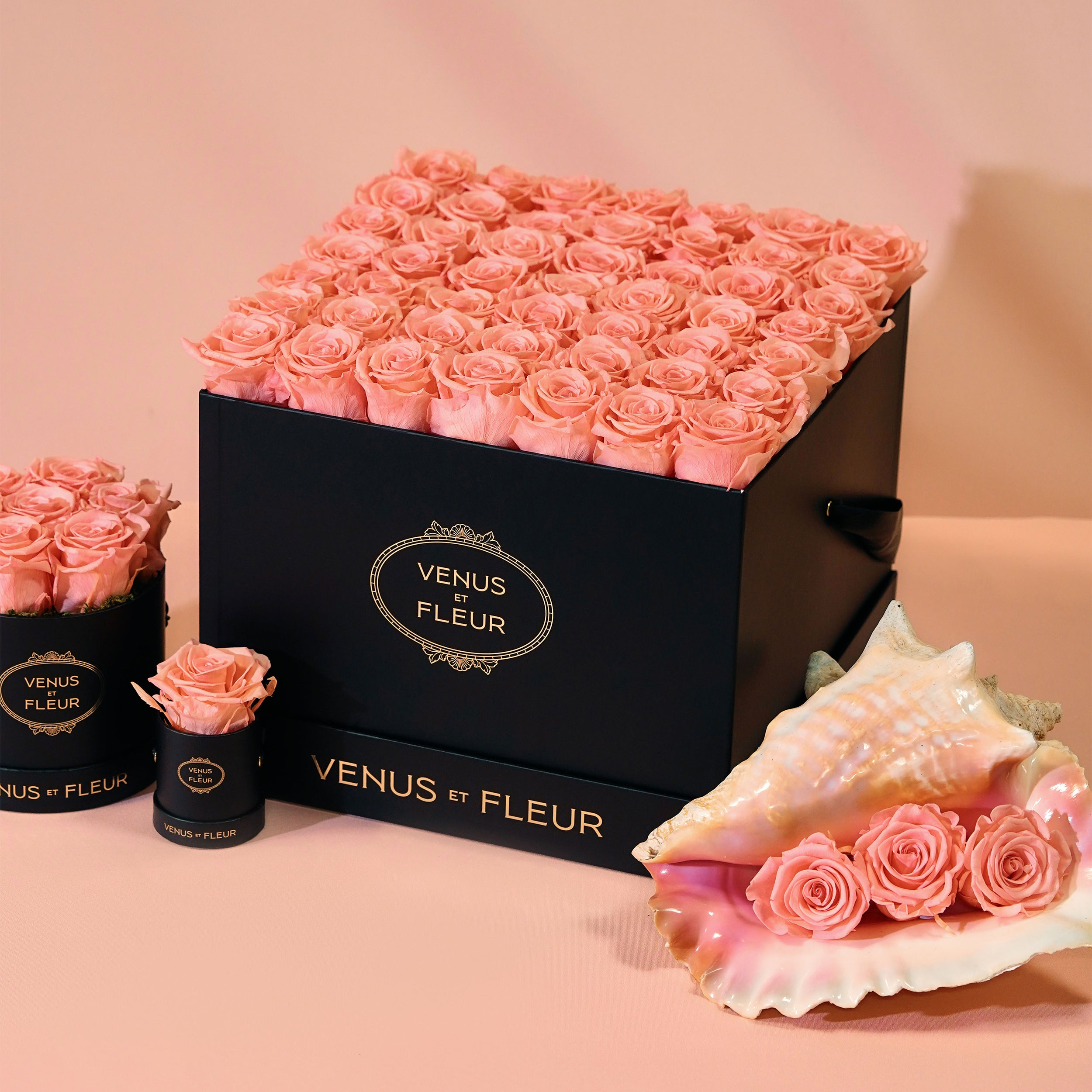 Eternity® Roses: Preserved Roses That Last a Year | Venus et Fleur