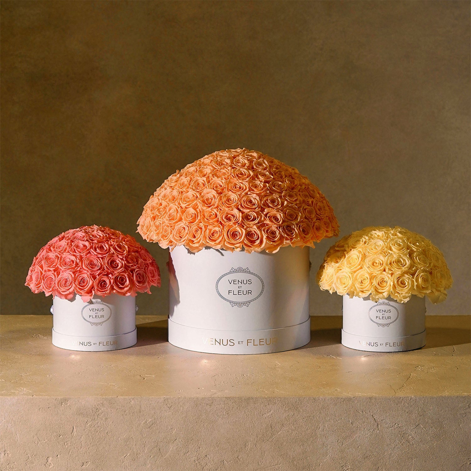 Eternity® Roses: Preserved Roses That Last a Year | Venus et Fleur