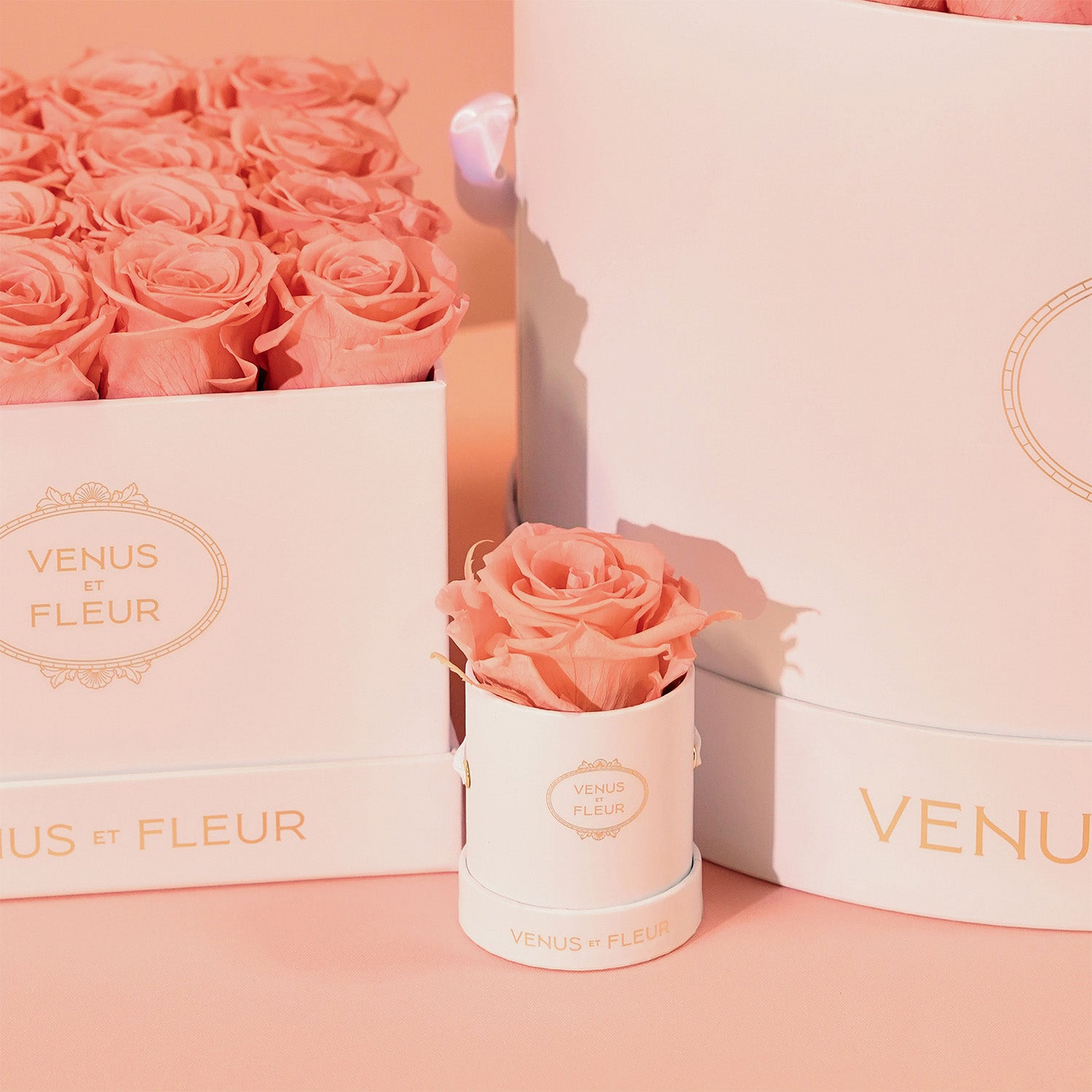 Eternity® Roses: Preserved Roses That Last a Year | Venus et Fleur