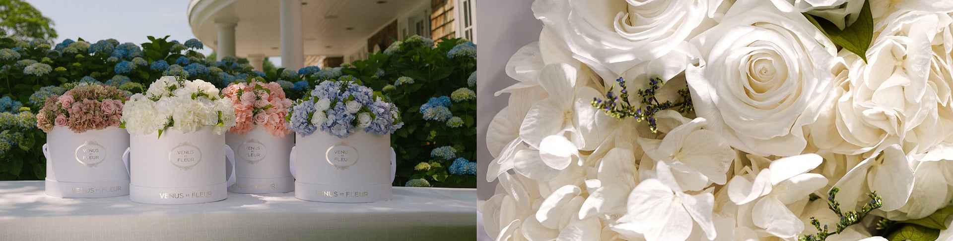 Summer Blooms — collection header (desktop)
