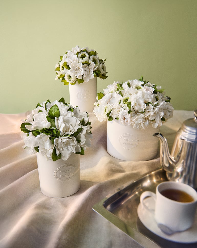 Summer Blooms — collection menu — Eternity Gardenias