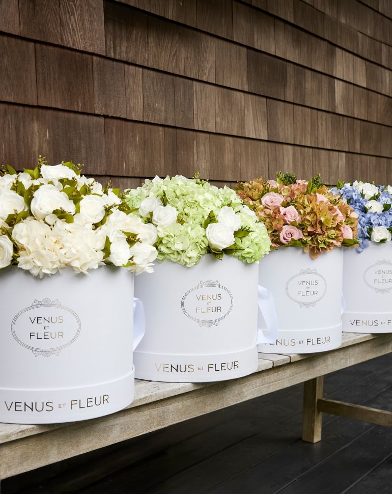 Summer Blooms — collection menu — Hydrangeas