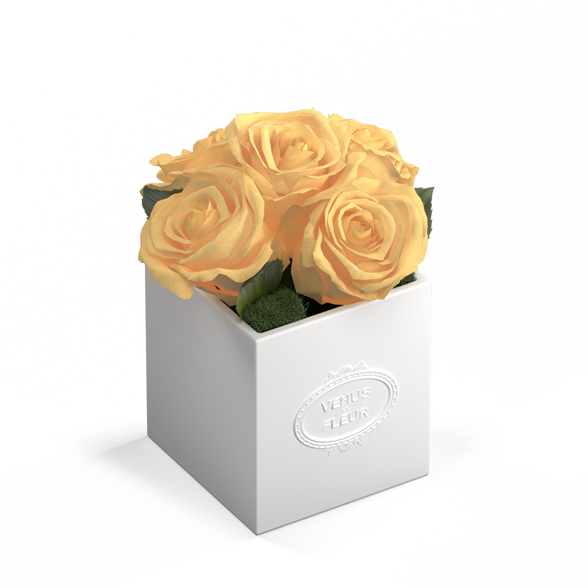 Sylvie Porcelain Vase