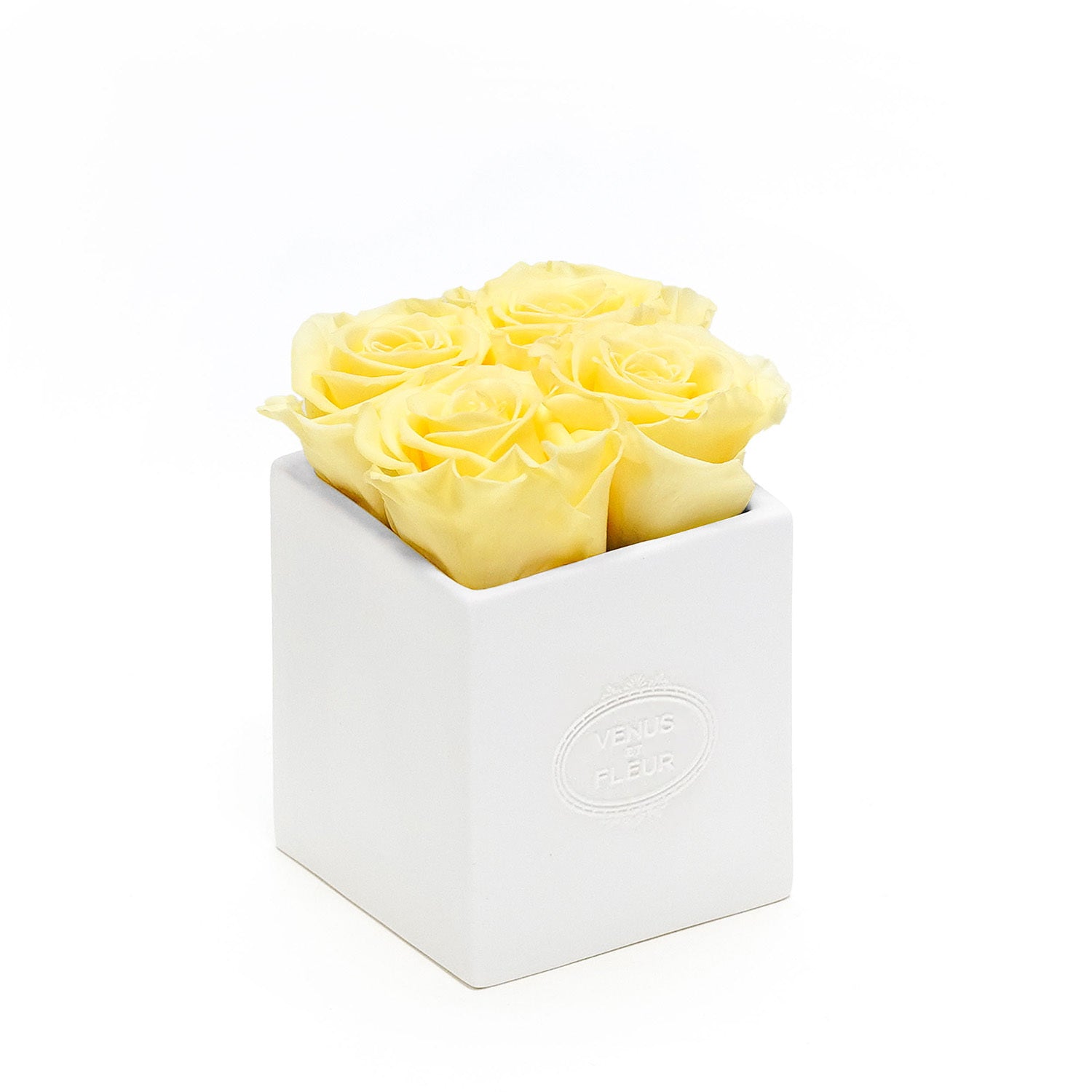 Sylvie Porcelain Vase 6
