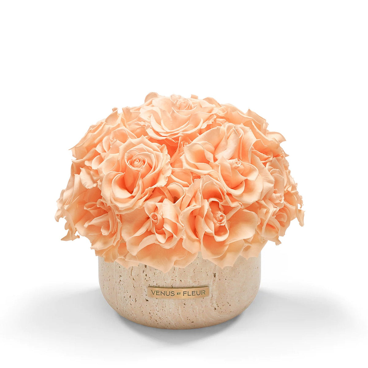 Enternity Roses Luxury Eternity ® Roses | Preserved Roses by Venus et Fleur