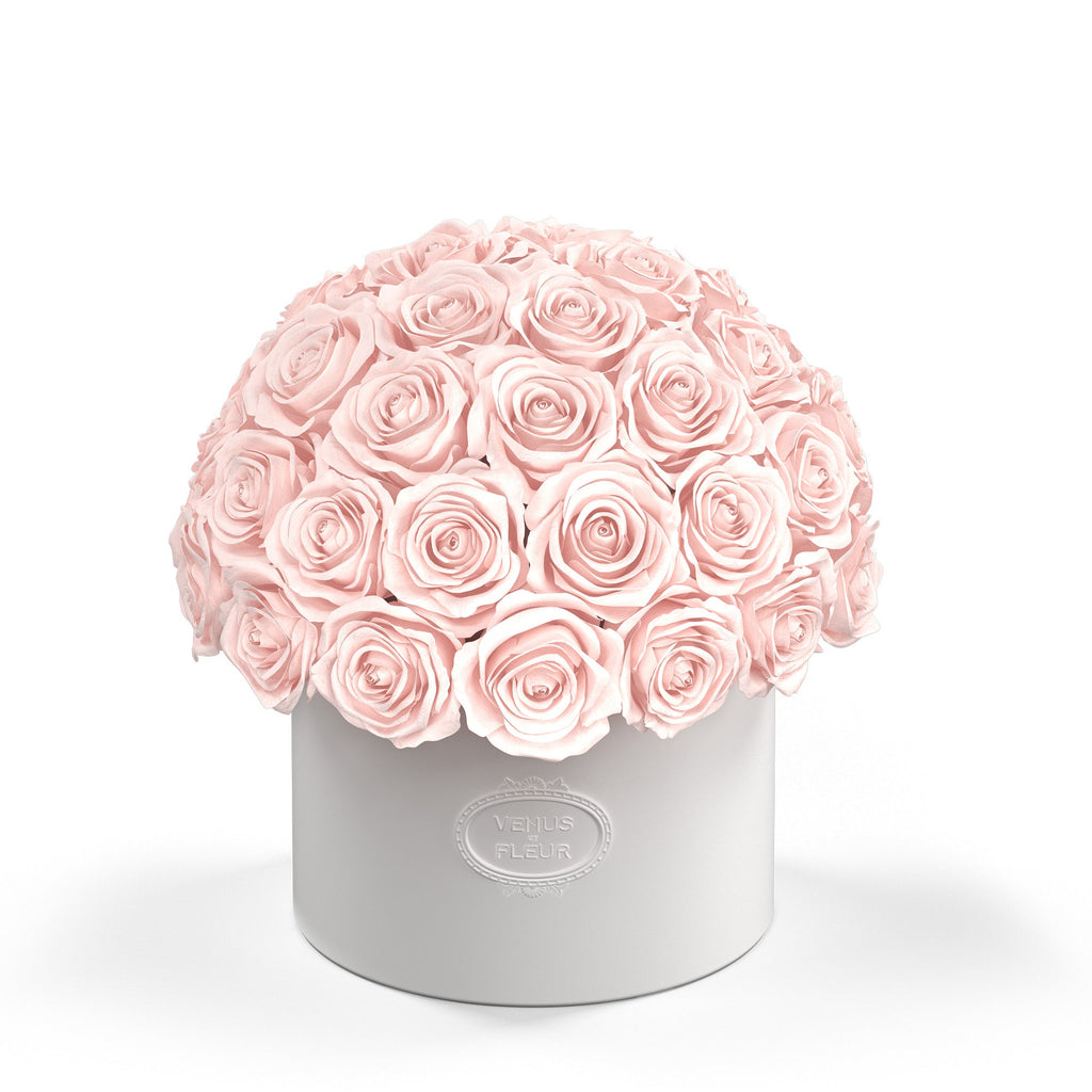 Bouquet of pale pink roses arranged in a white round box embossed with 'VENUS ET FLEUR'