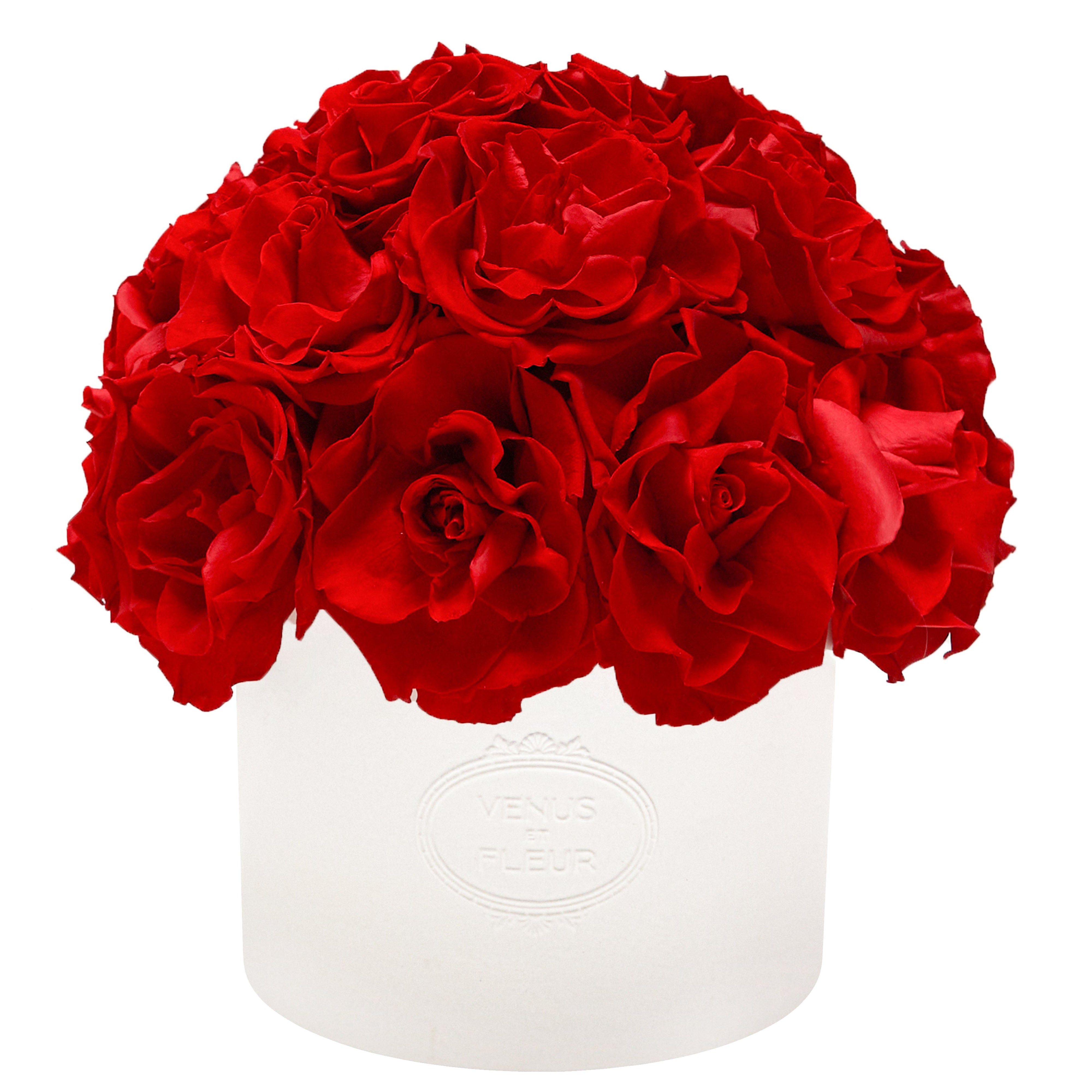 Reflexed Roses - emptybox