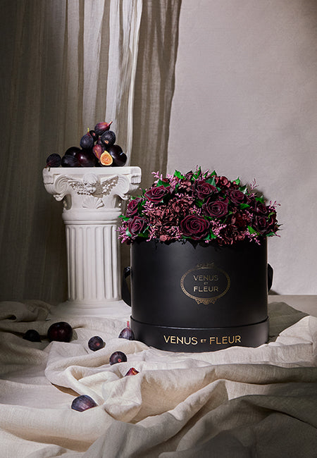 BAISER ベーゼ EN FLEUR 限定BOX 2025年最新】Yahoo!オークション -baiser(音楽)の中古品・新品