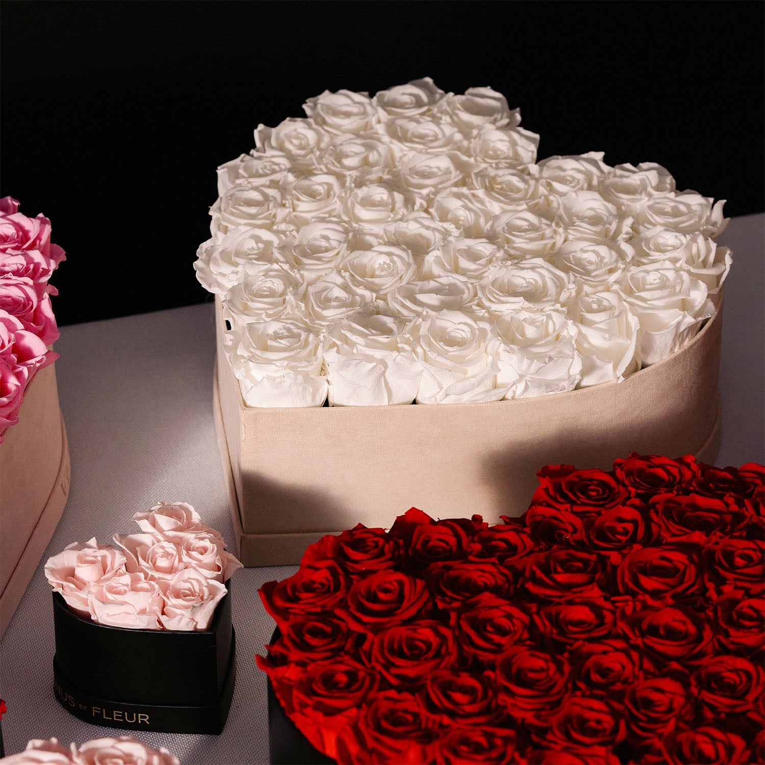 Luxury Eternity Rose Arrangements - Preserved Roses - Venus et Fleur®