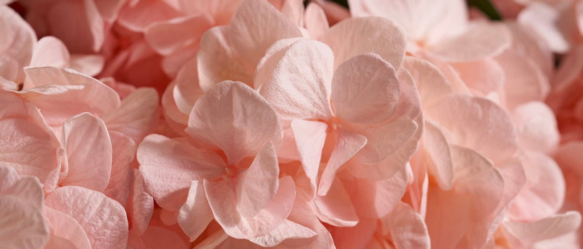 Wedding Bridal Flowers Gifts — footer