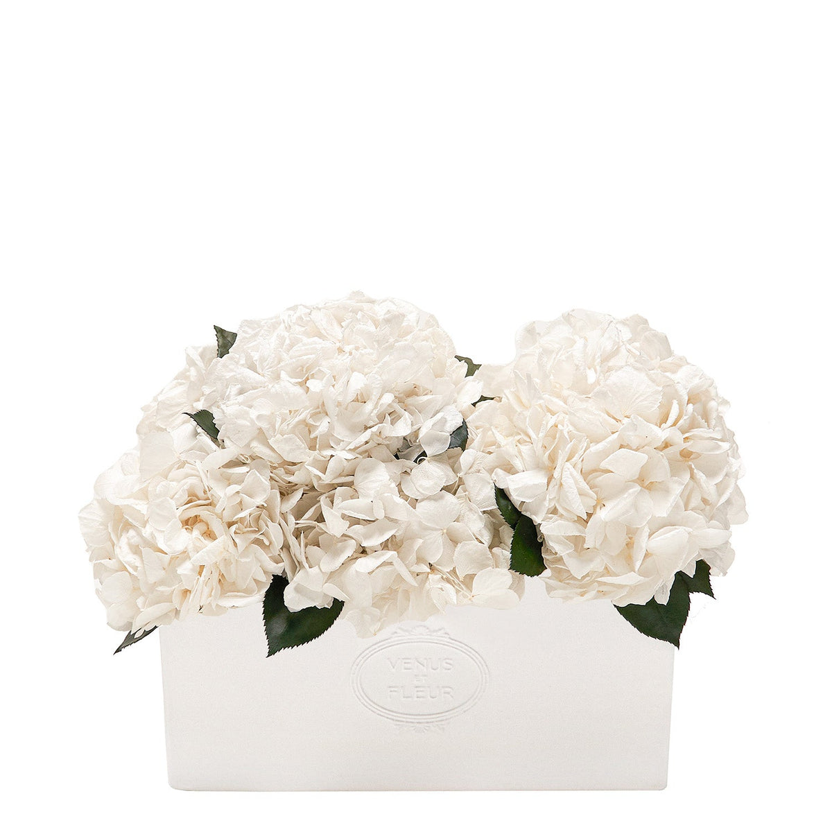 Serene Porcelain Vase Hydrangeas — front view