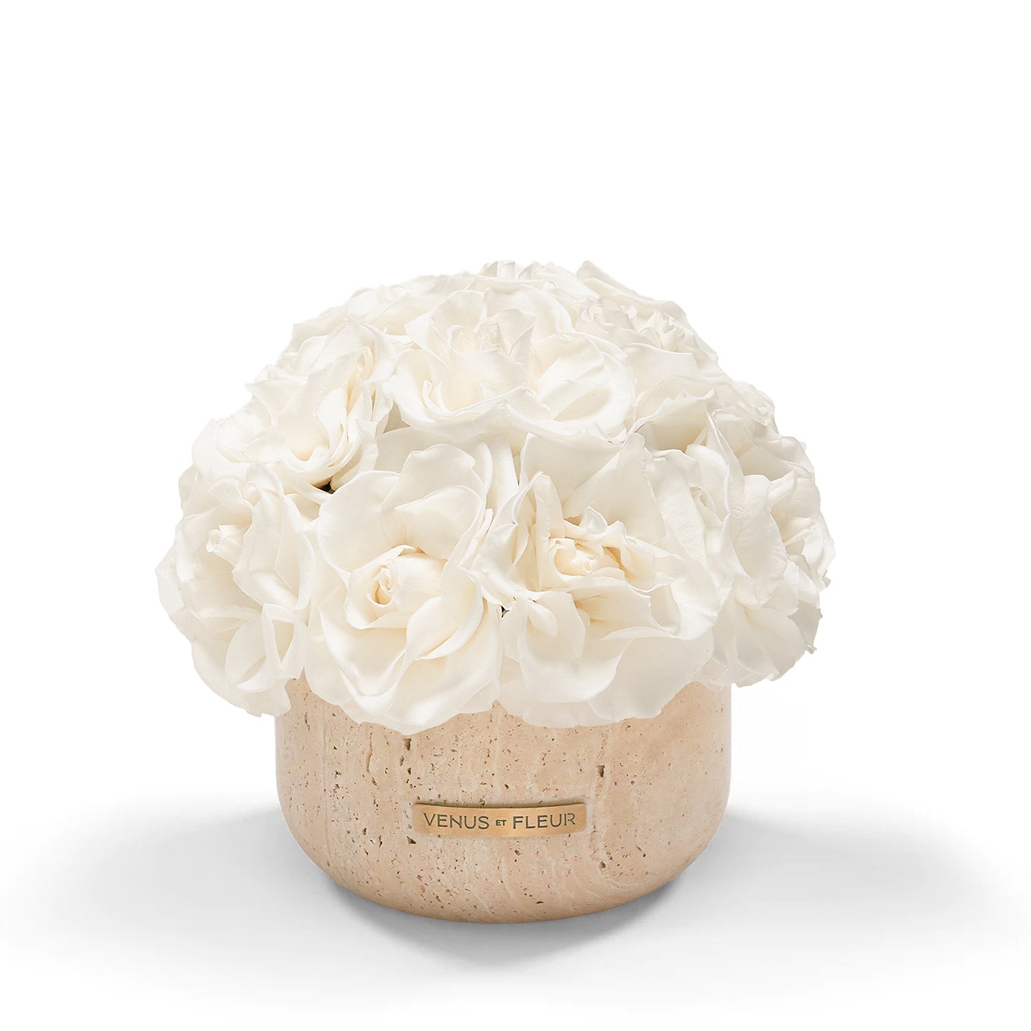 Luxury Eternity ® Roses | Preserved Roses by Venus et Fleur