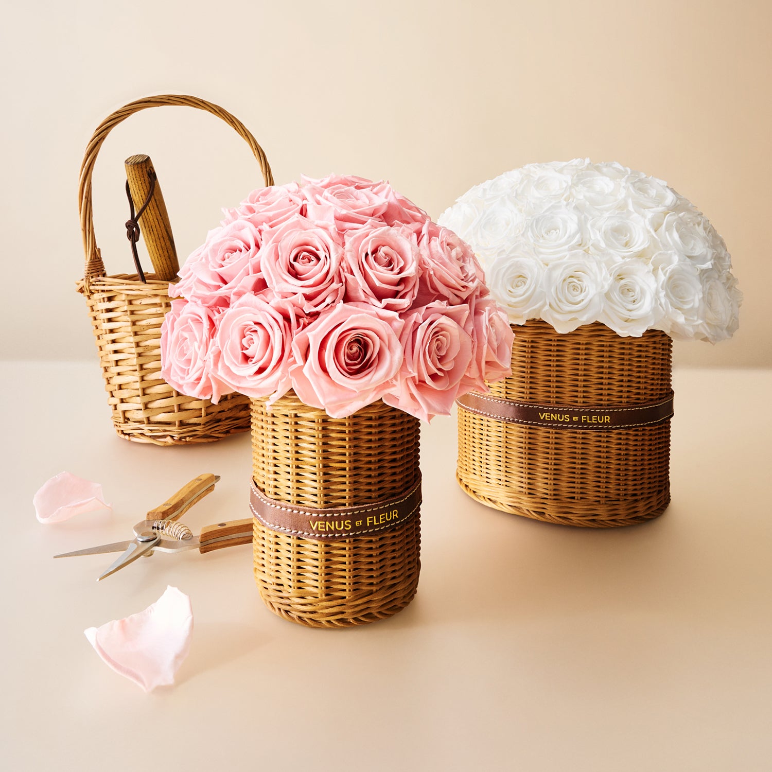 image-with-thumbnail 