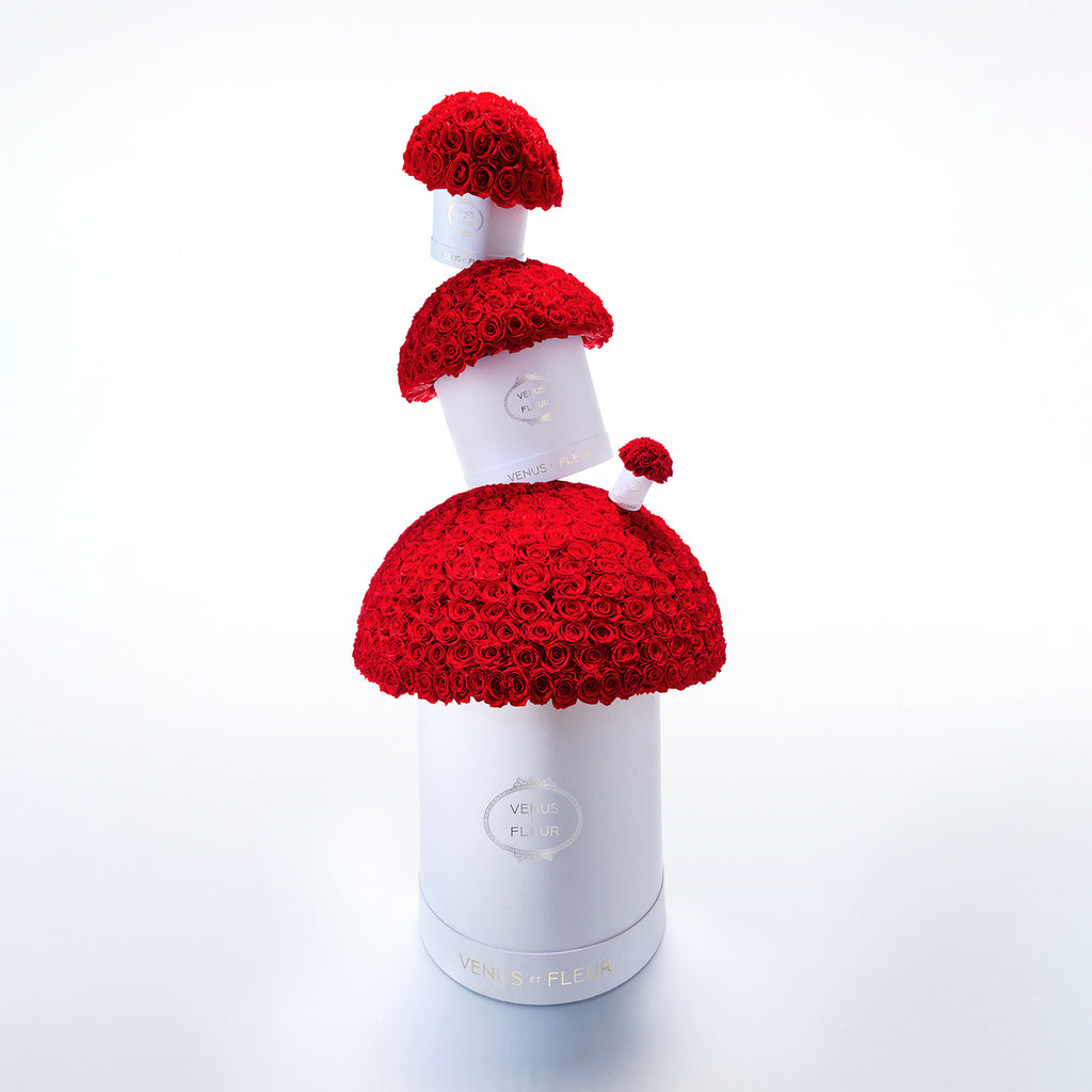  description hover image
