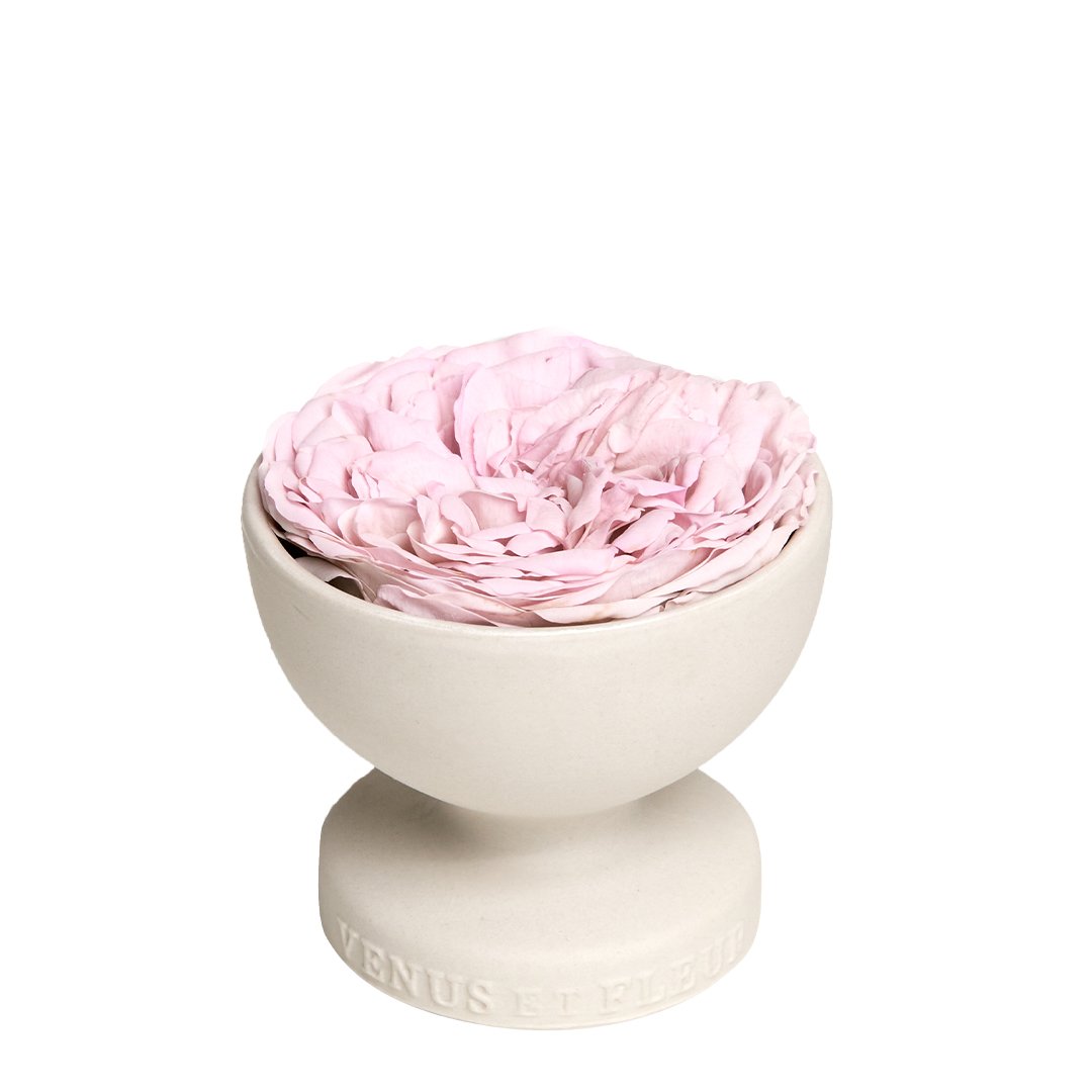 Aura Porcelain Vase