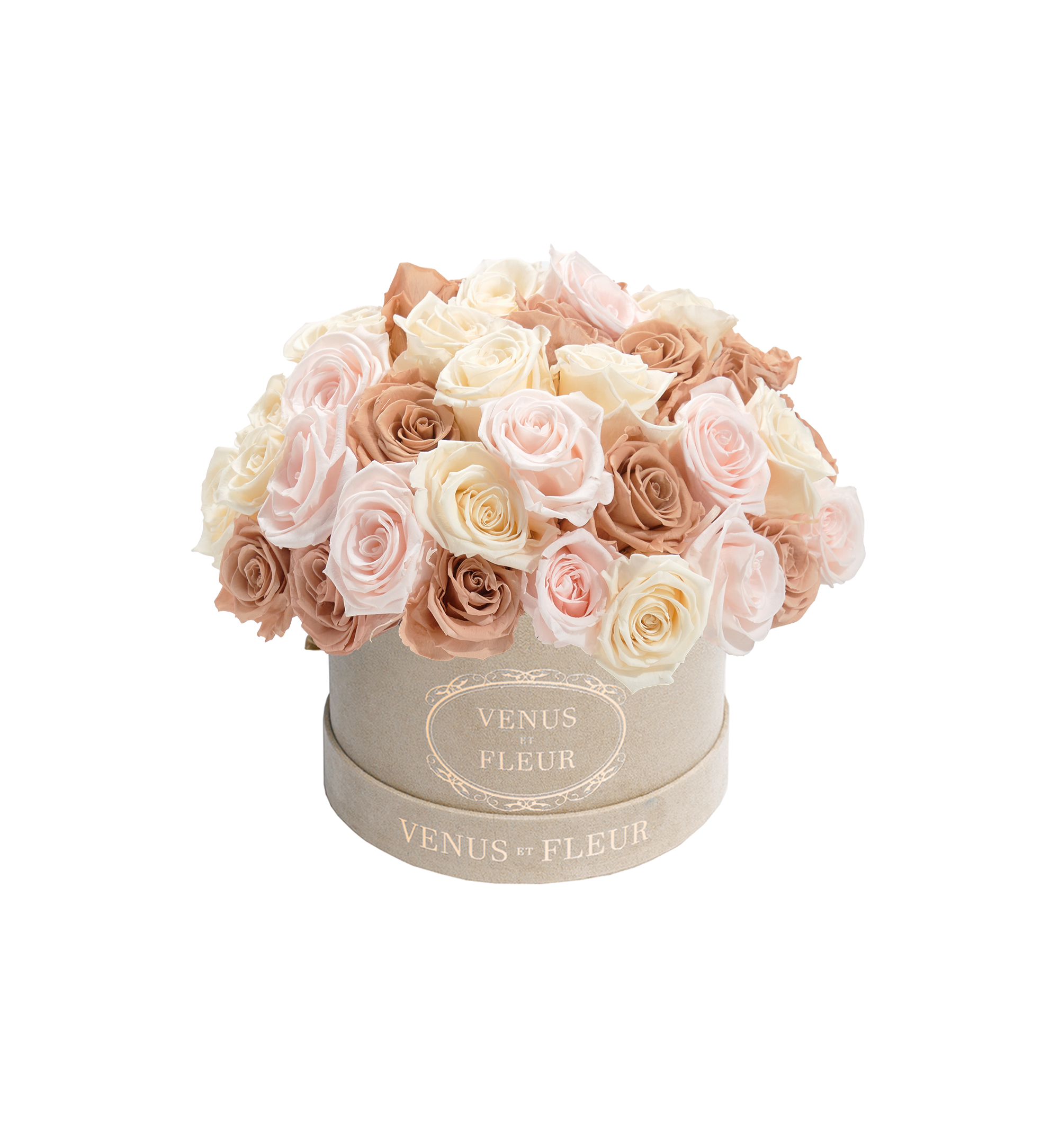 Small Le Plein with Mixed Roses