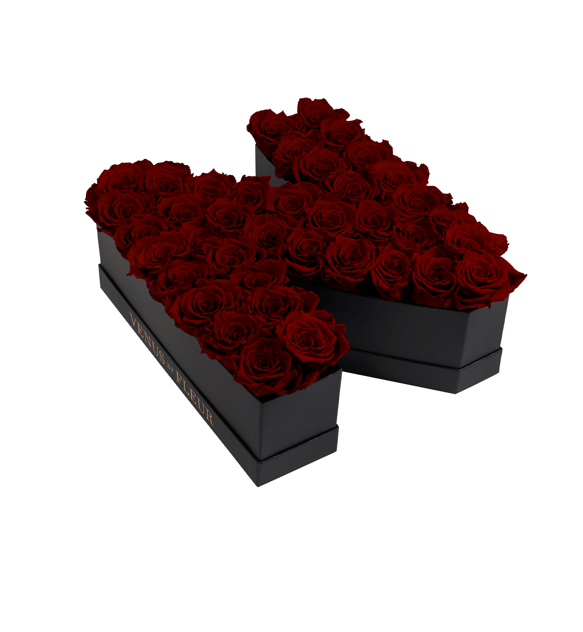 N_burgundy.png?v=1740669667