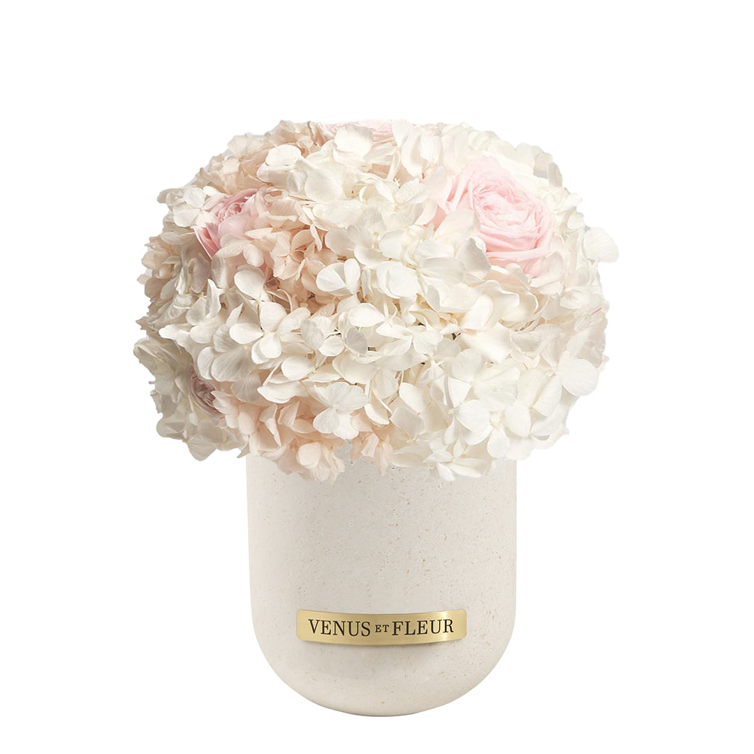 emptybox - mixed hydrangeas