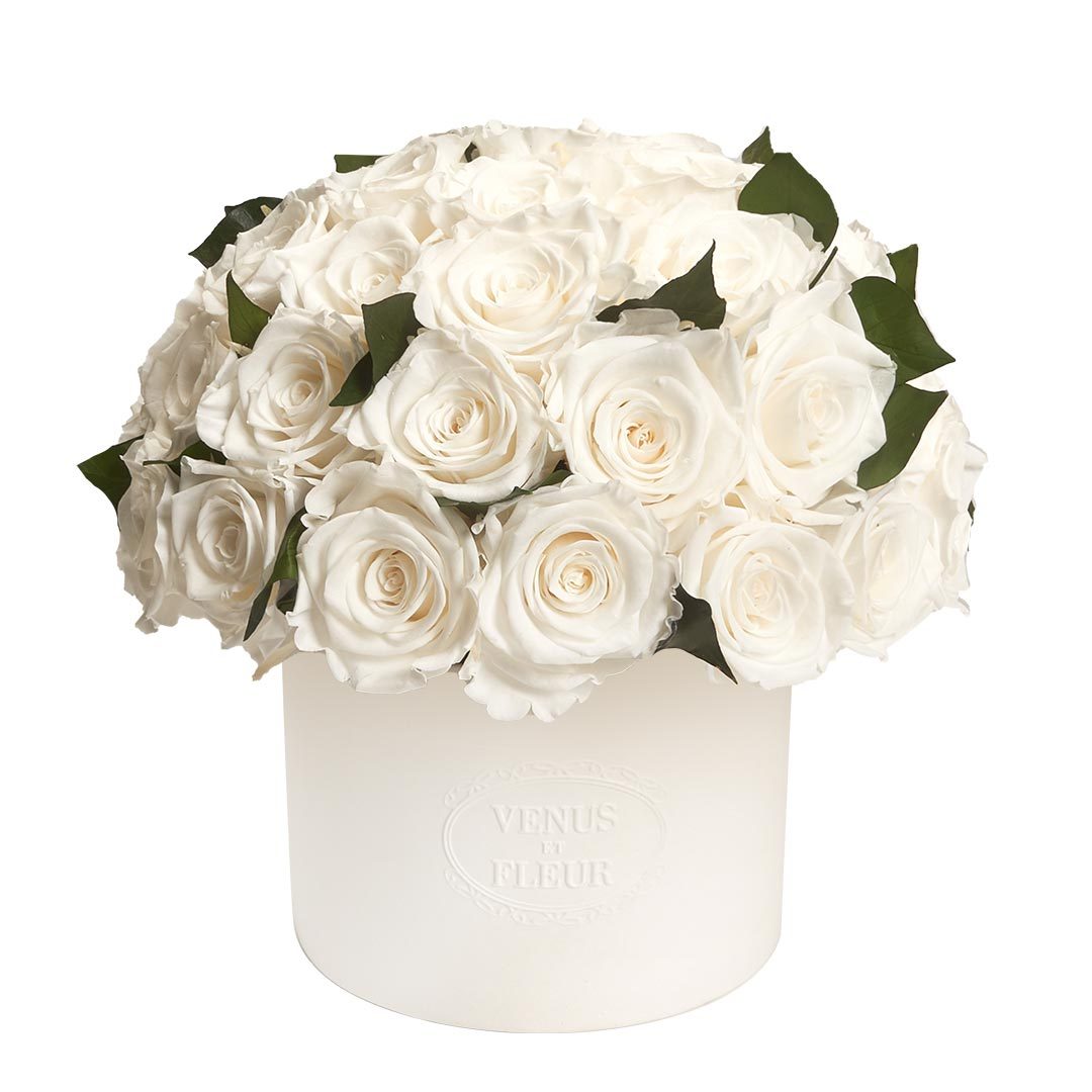 Thalia Porcelain Vase with Hedera Leaves
