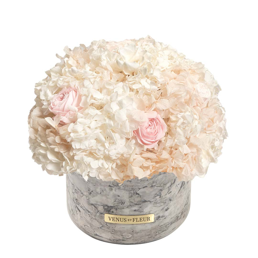 emptybox - mixed hydrangeas