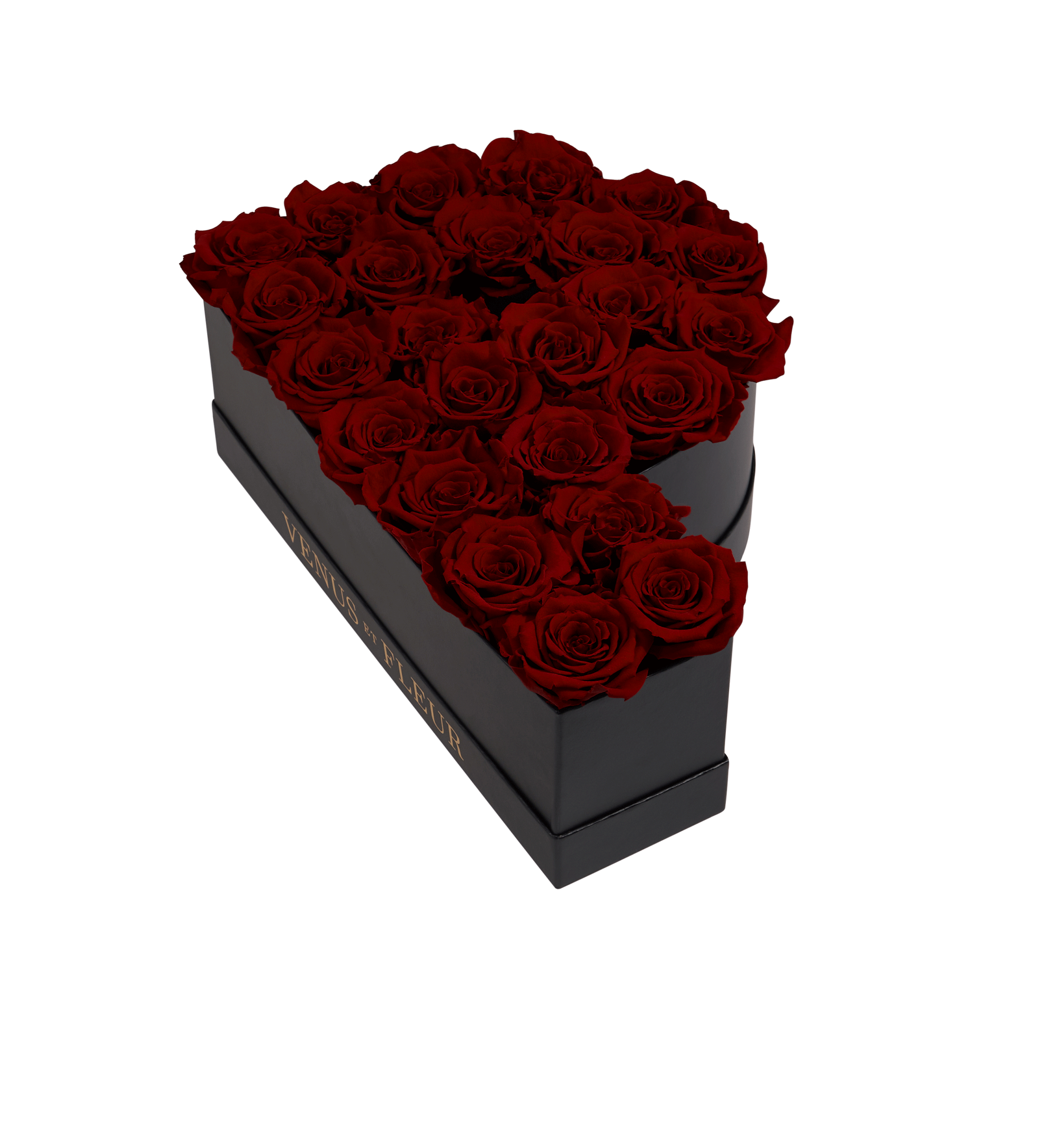 宙花f P_burgundy.png?v=1739906093
