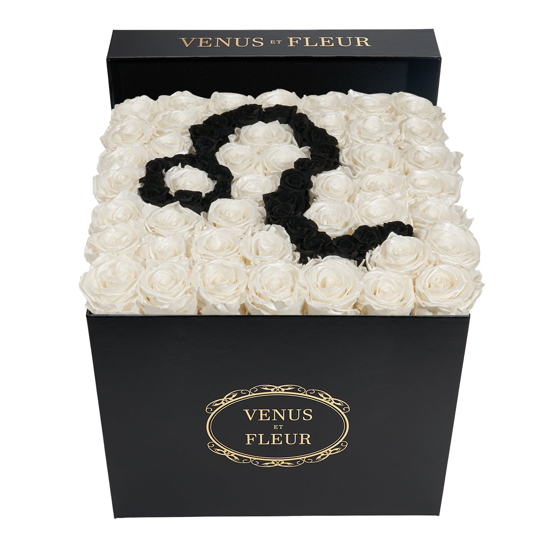 Large Square Box - Leo