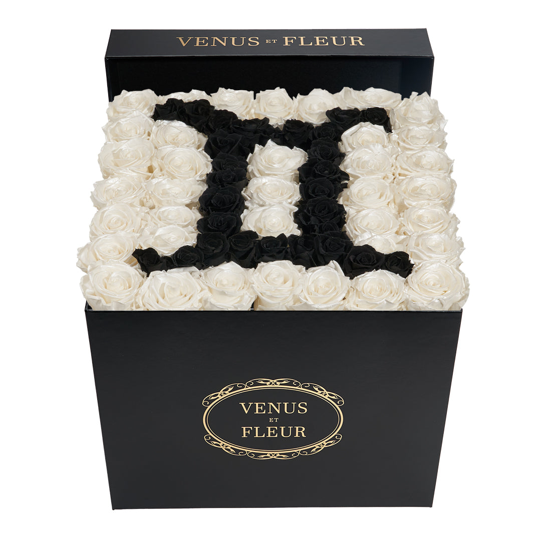 Large Square Box - Gemini