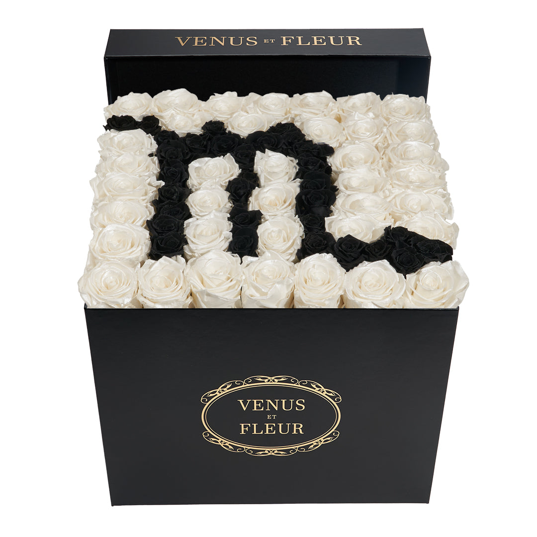 Large Square Box - Scorpio