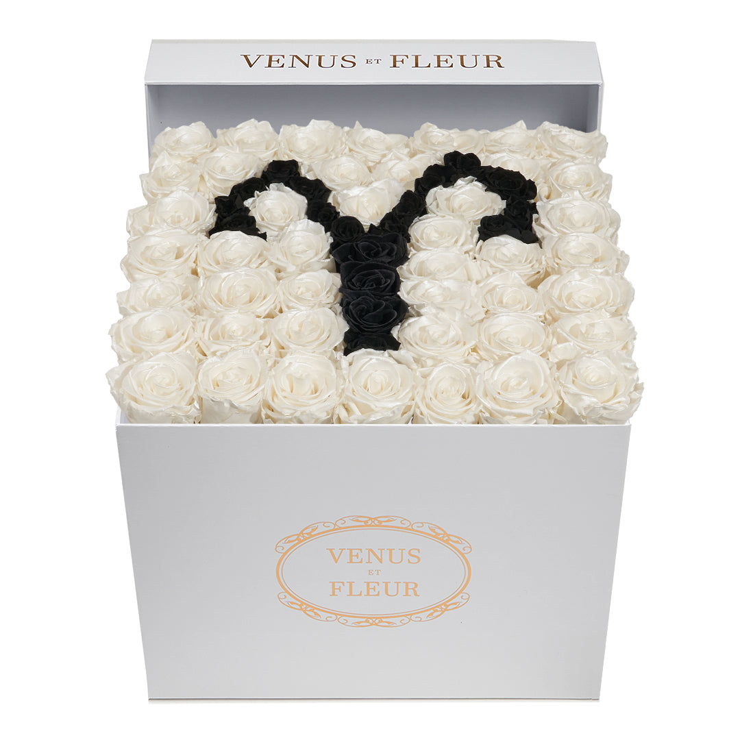 Large Square Box - Aries