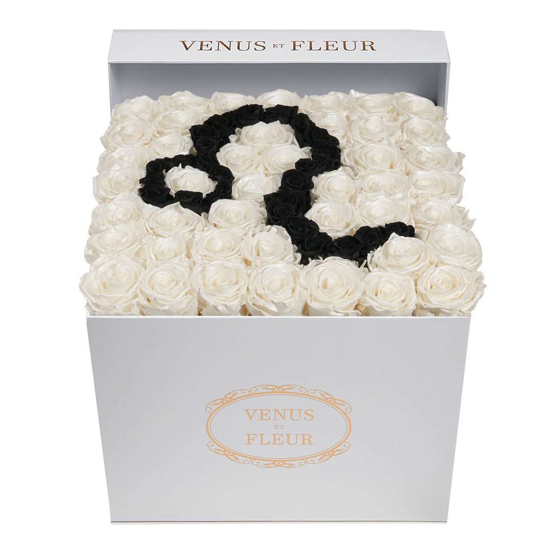 Large Square Box - Leo