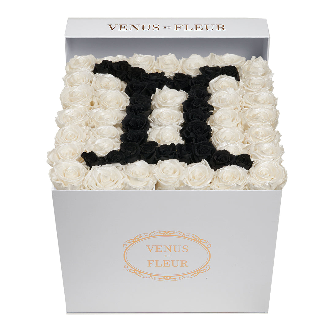 Large Square Box - Gemini