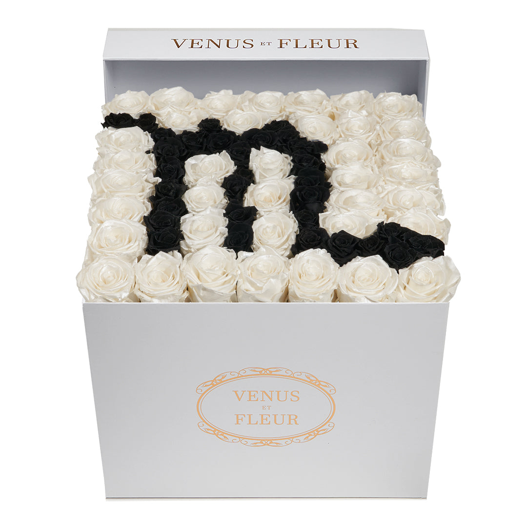 Large Square Box - Scorpio