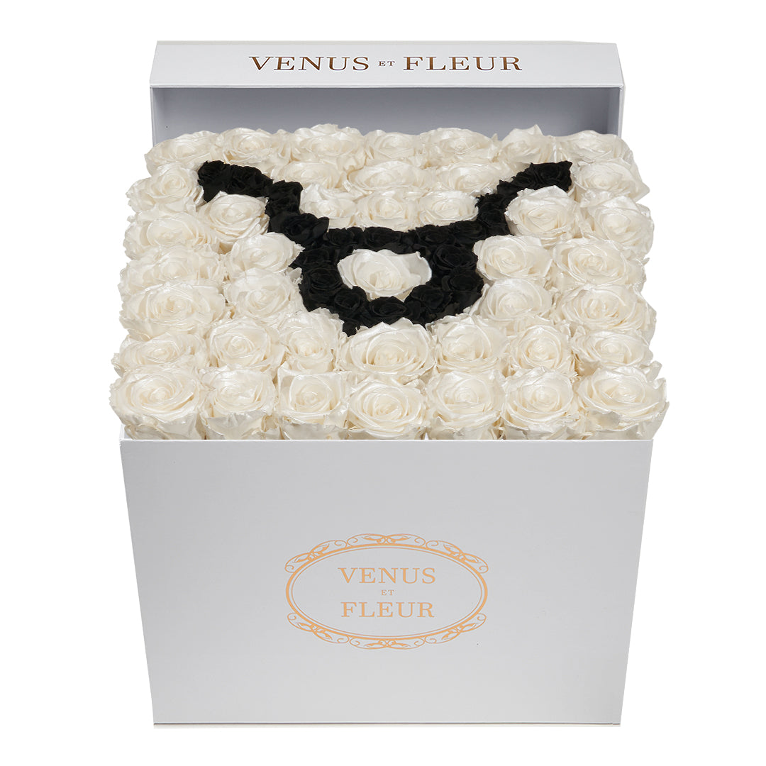 Large Square Box - Taurus