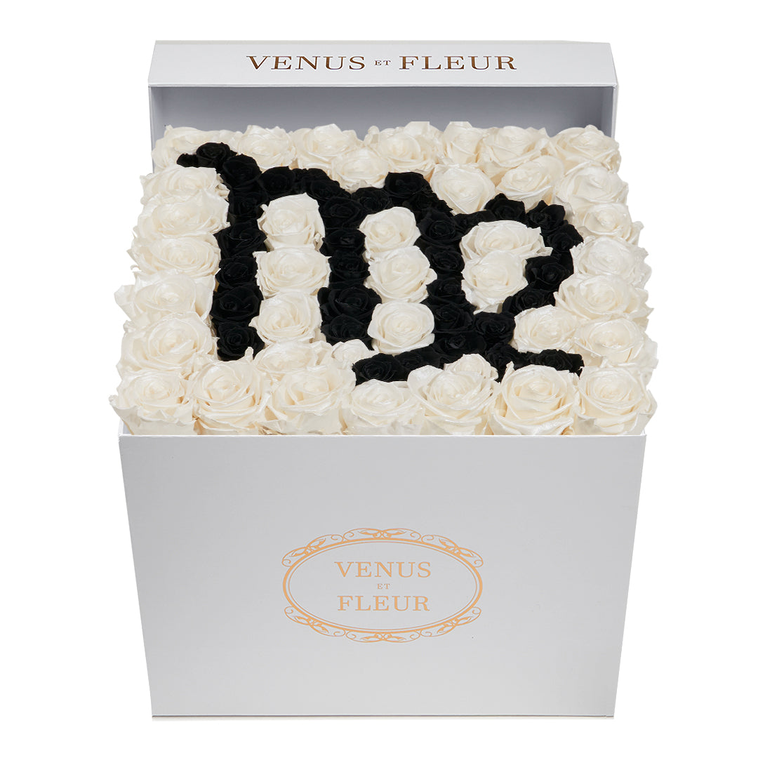 Large Square Box - Virgo