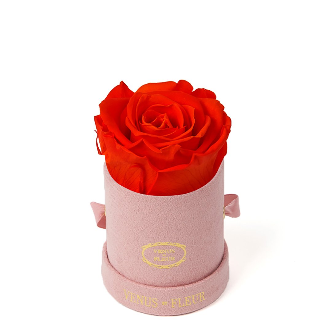 Le Mini™ Round