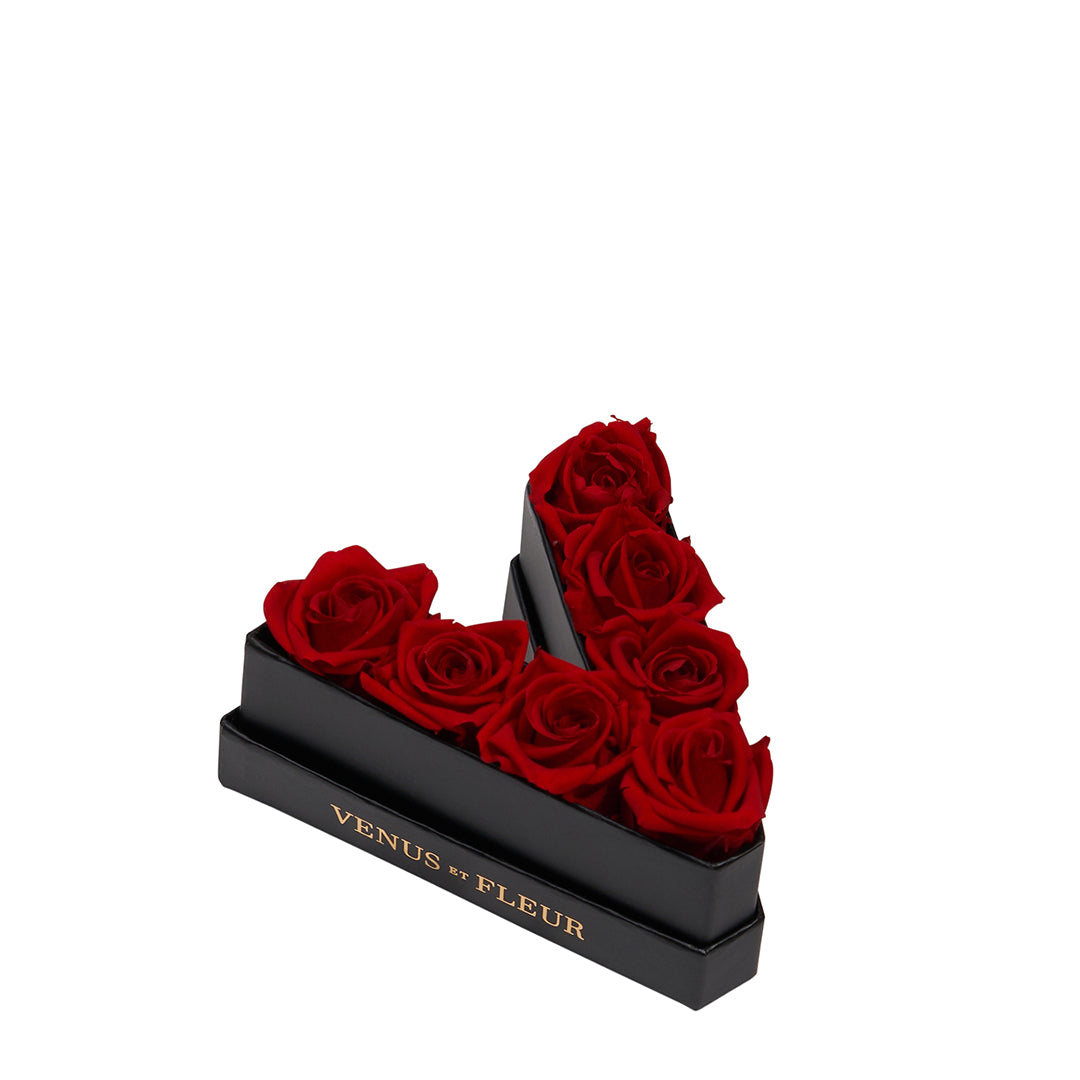 Le Mini Letter - V