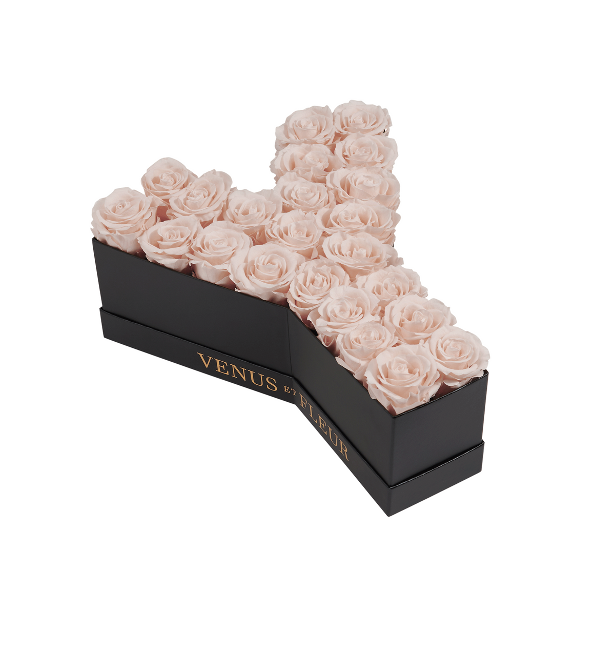 Le Grand Letter - Y