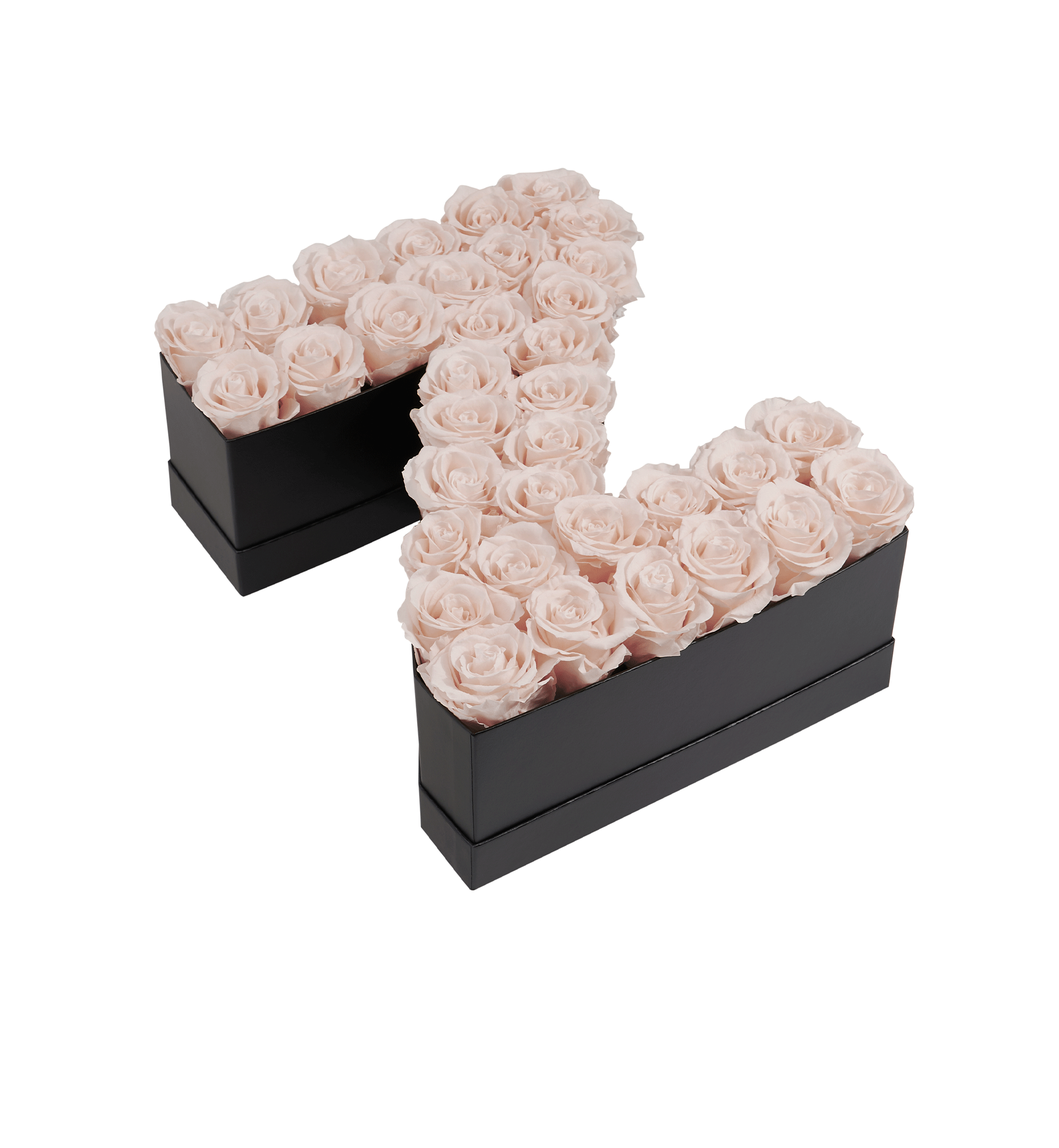 Z_blush.png?v=1740669225