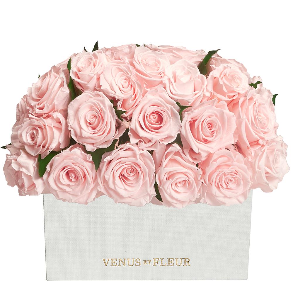 Roses With Leaves - emptybox