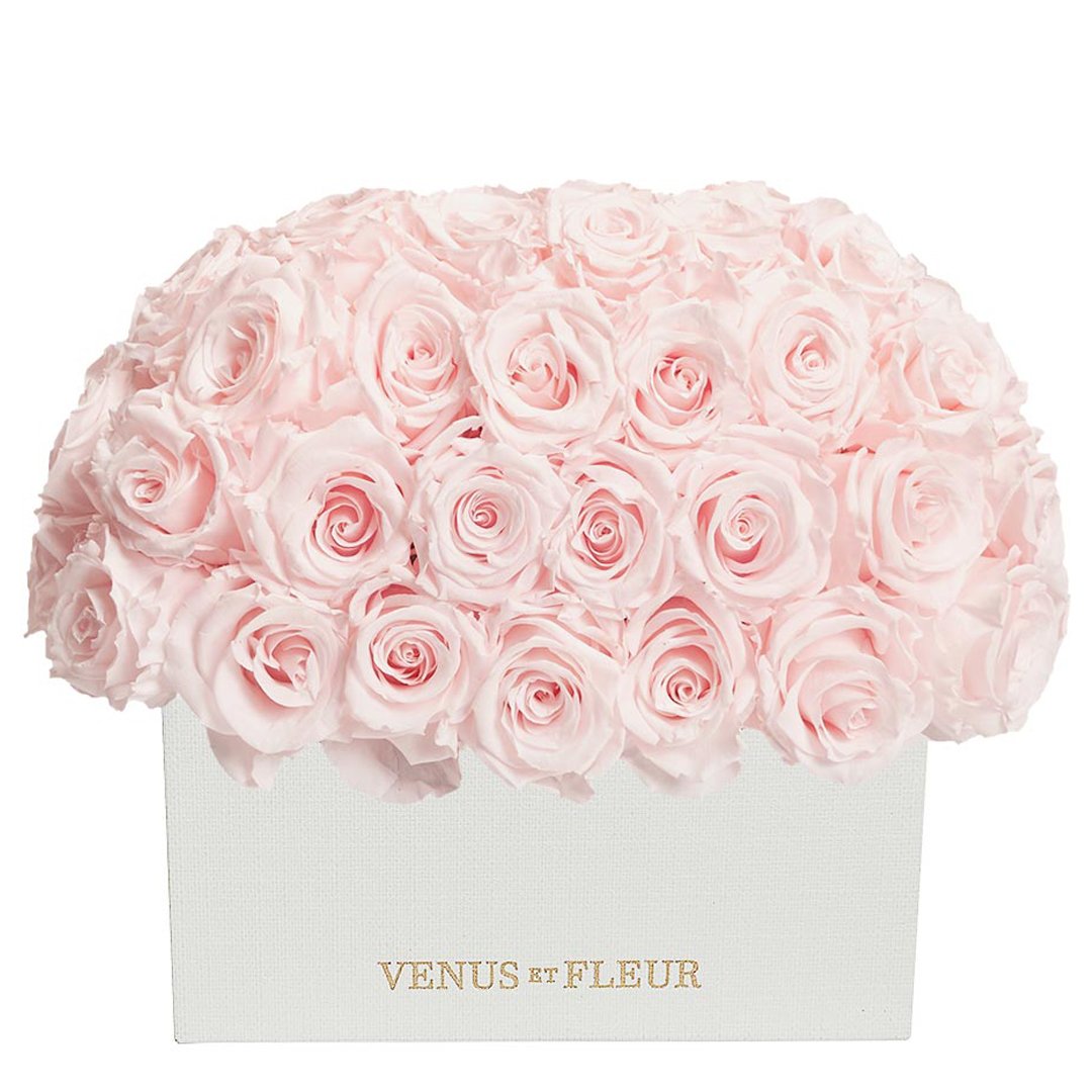 eternity roses - emptybox